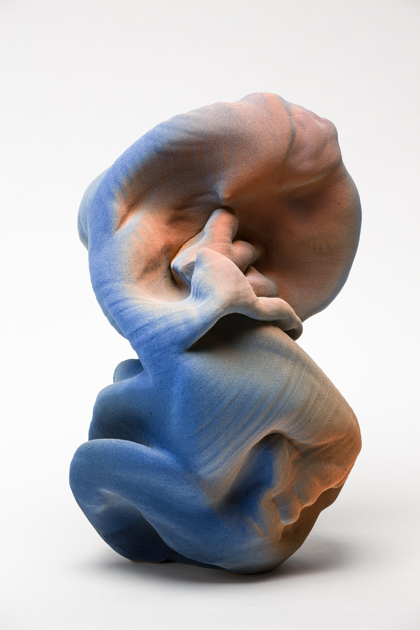 Anne Marie Laureys Boneless Desire Opus #1, 2025