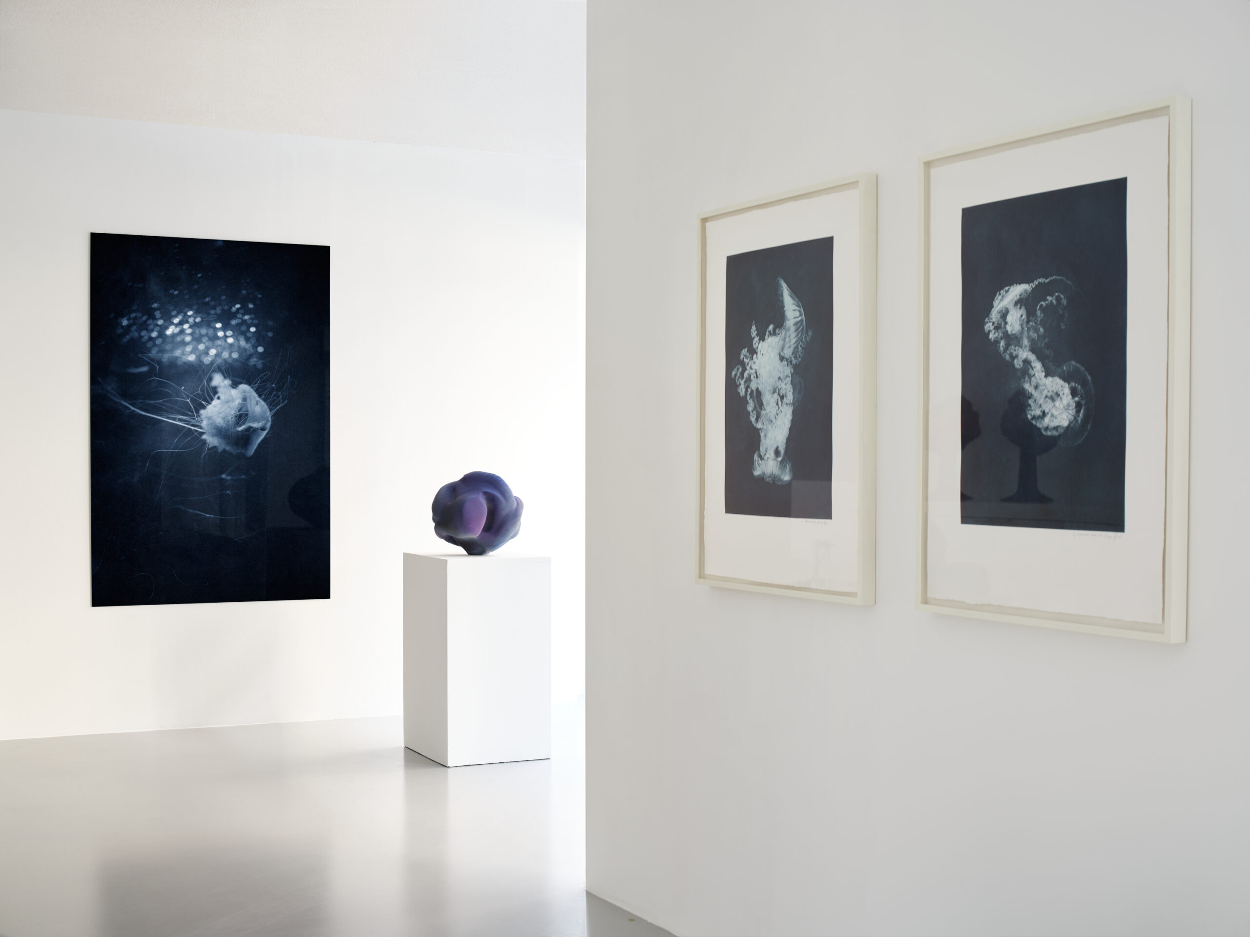 Anne Marie Laureys Costanza Gastaldi Altered States