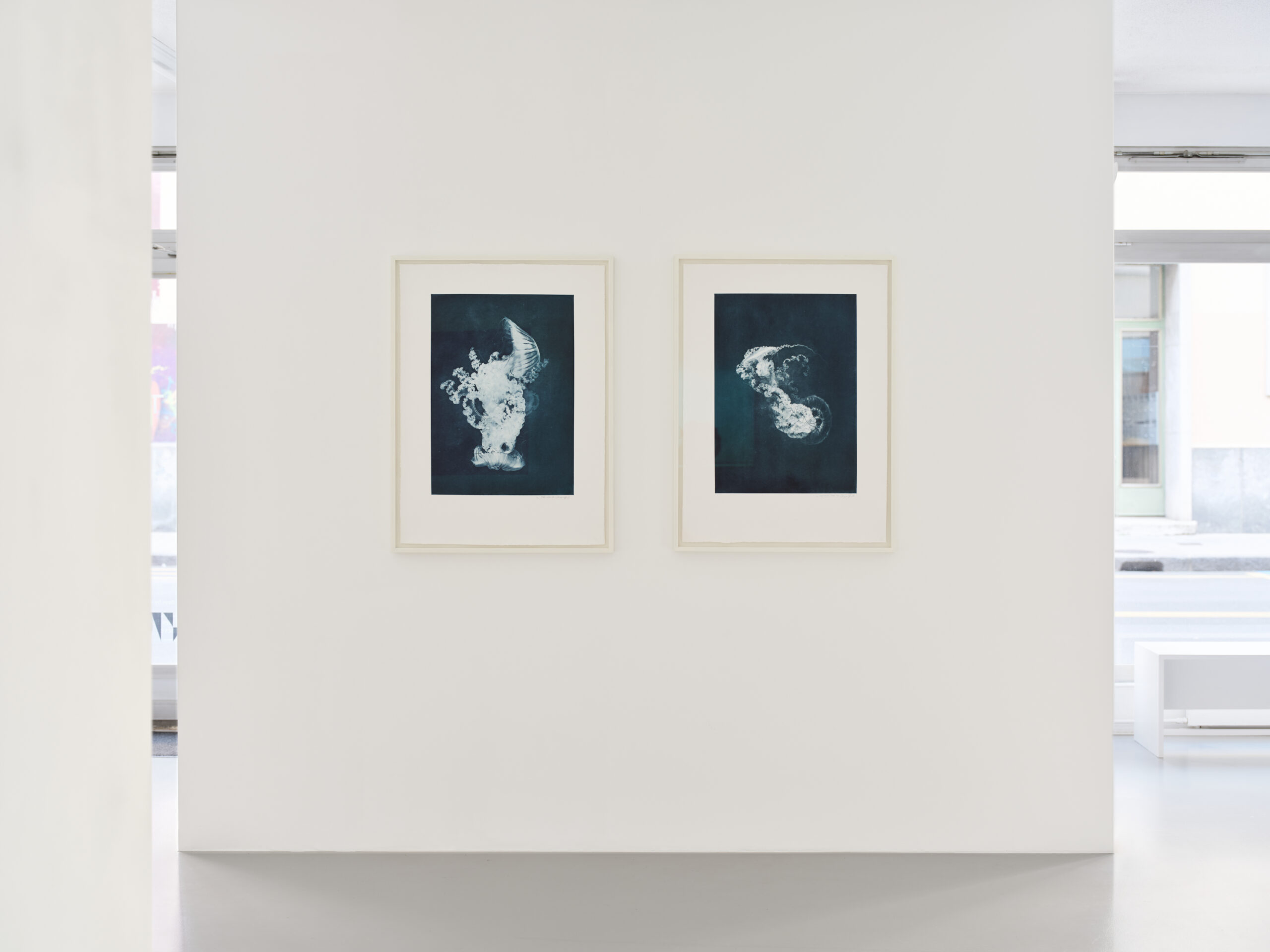 TasteContemporary_AlteredStates_Nov25_6534_v2