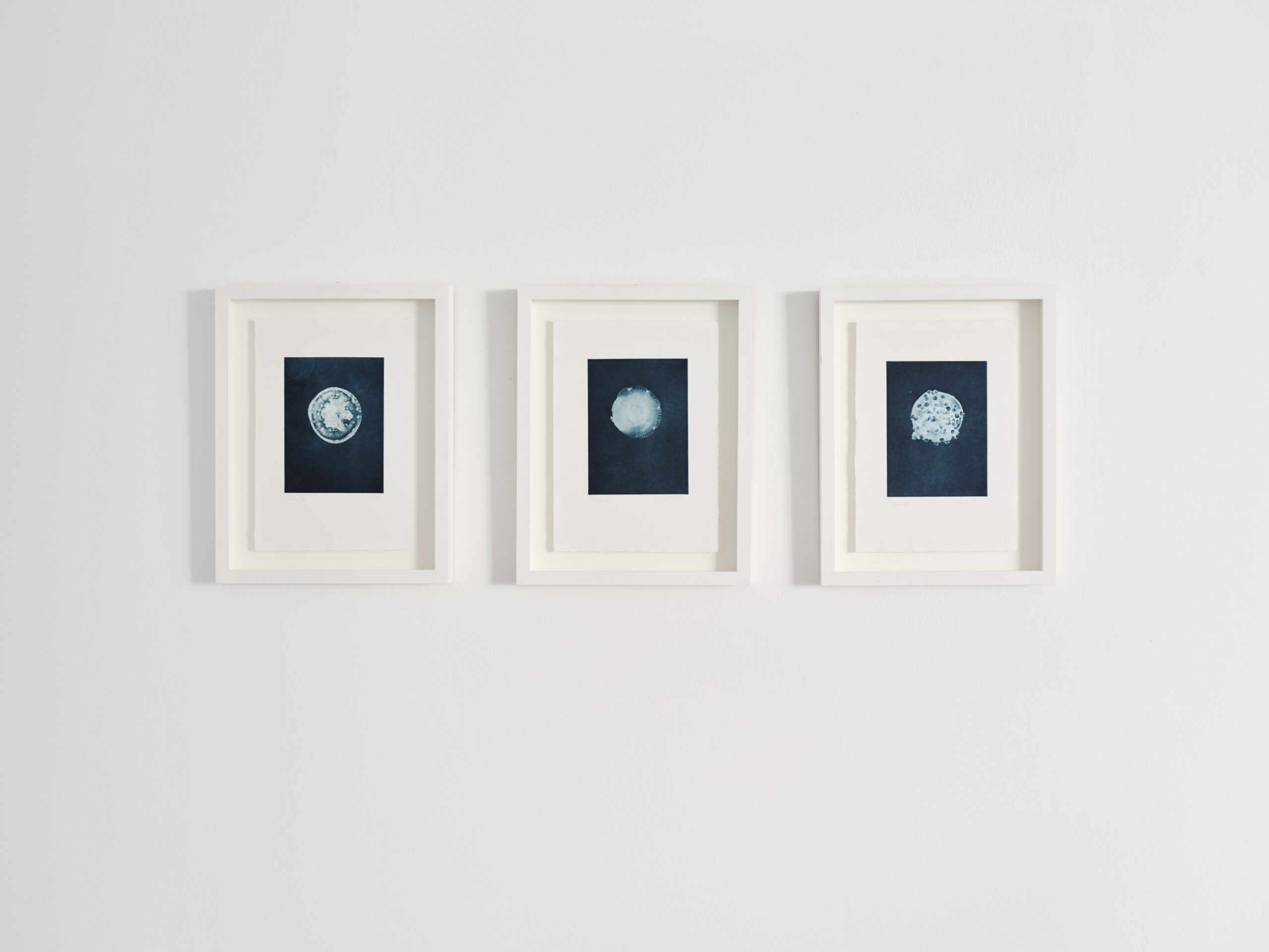 TasteContemporary_AlteredStates_Nov25_6538_v2