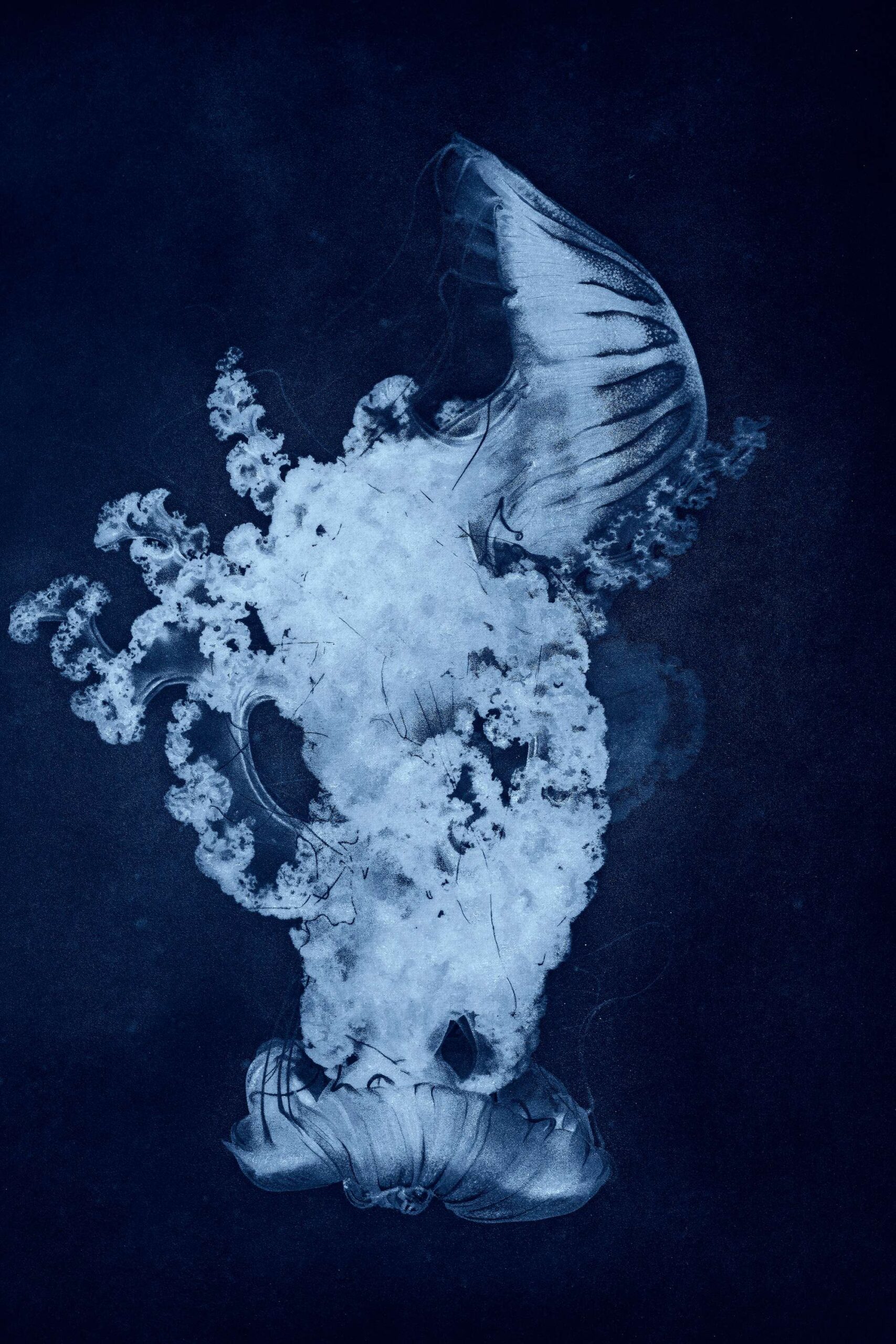 Costanza Gastaldi - Bess