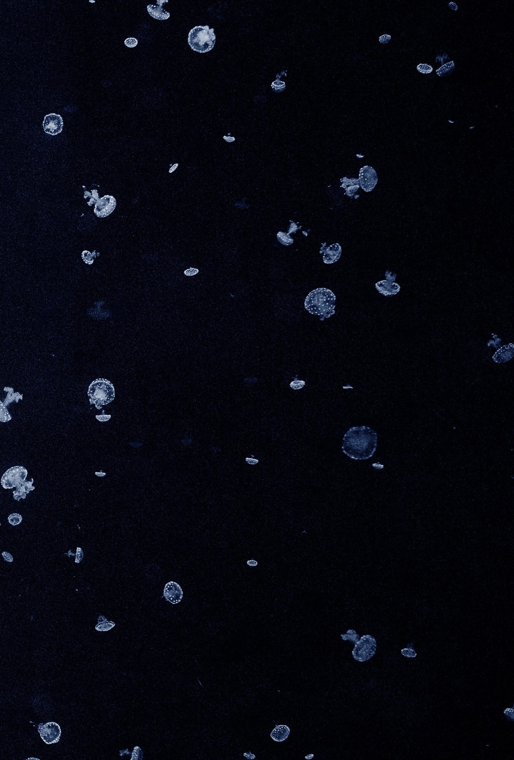 Costanza Gastaldi - Bolle A