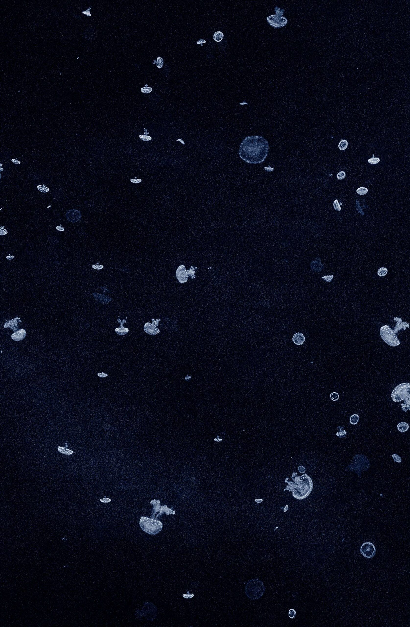 Costanza Gastaldi - Bolle B