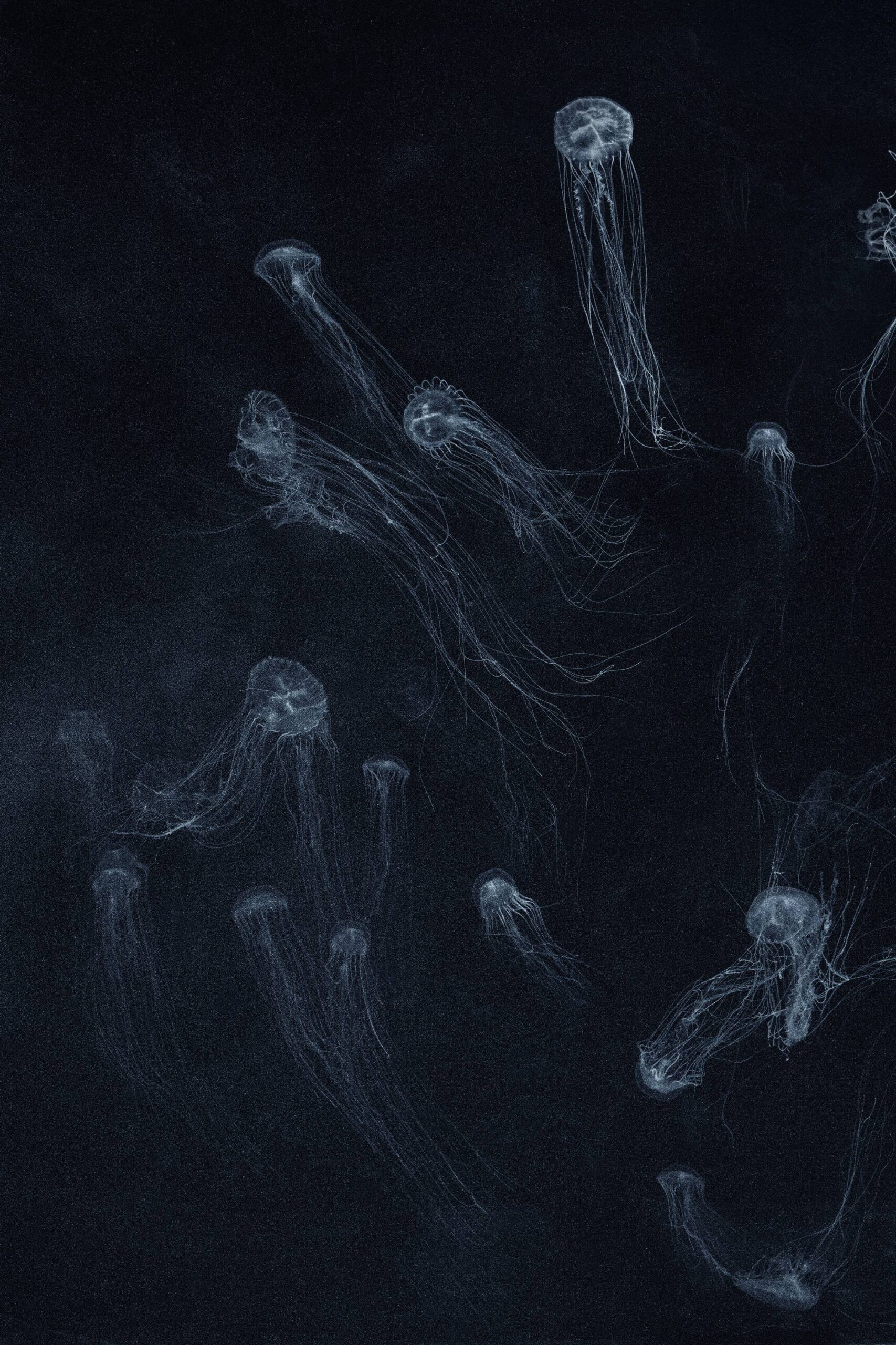 Costanza Gastaldi - Caronte In Movimento A