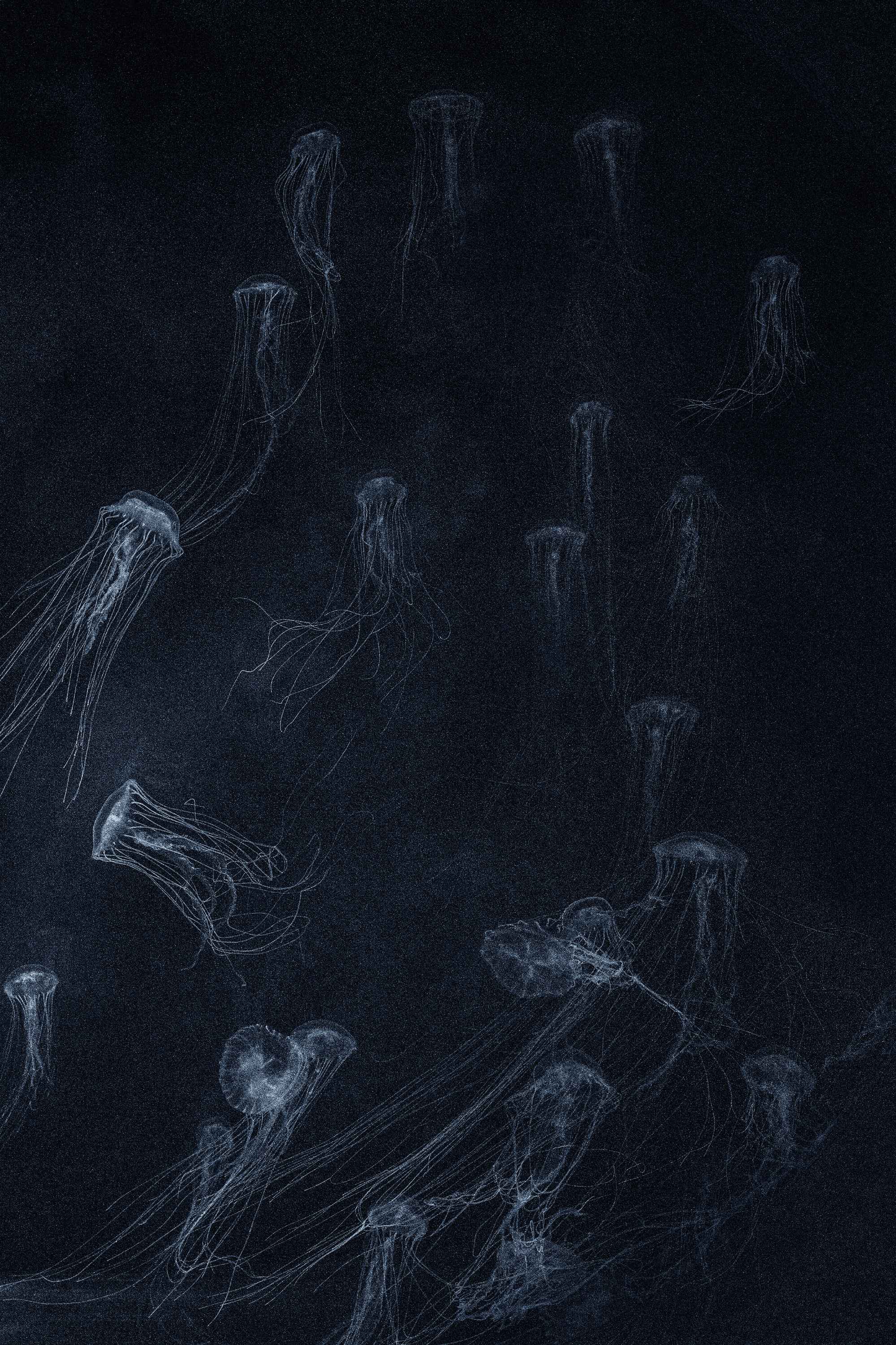 Costanza Gastaldi - Caronte In Movimento B