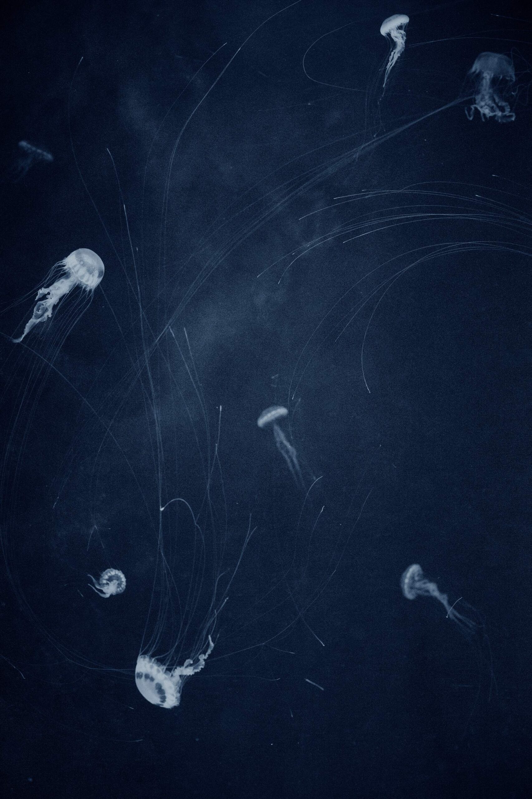 Costanza Gastaldi - Spazio A, 2025