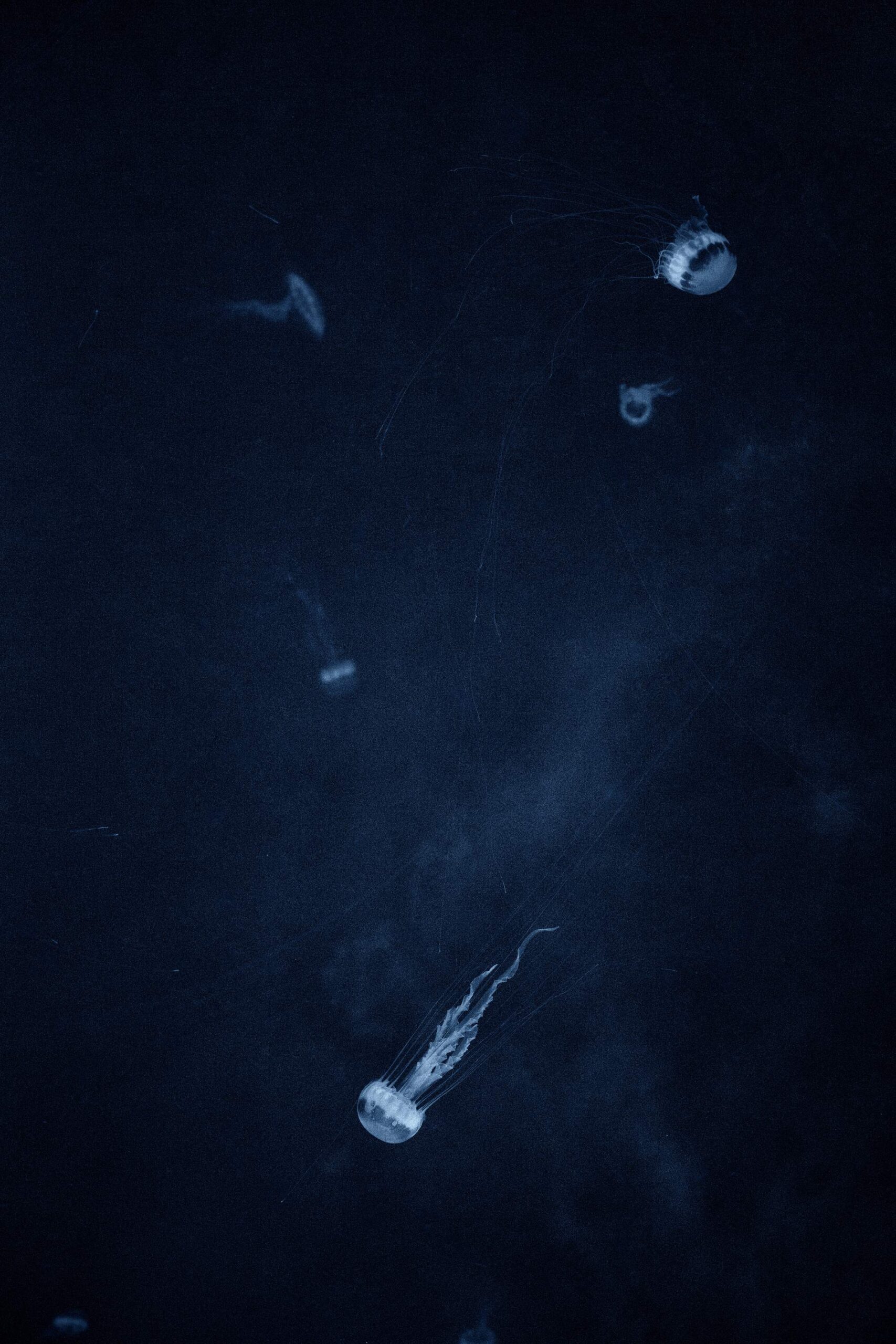 Costanza Gastaldi - Spazio B